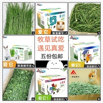 New grass to try and eat Gatimeti Australia wheat Anderson mention Moshe grass clover grass dandelion chicory big wheat straw oats