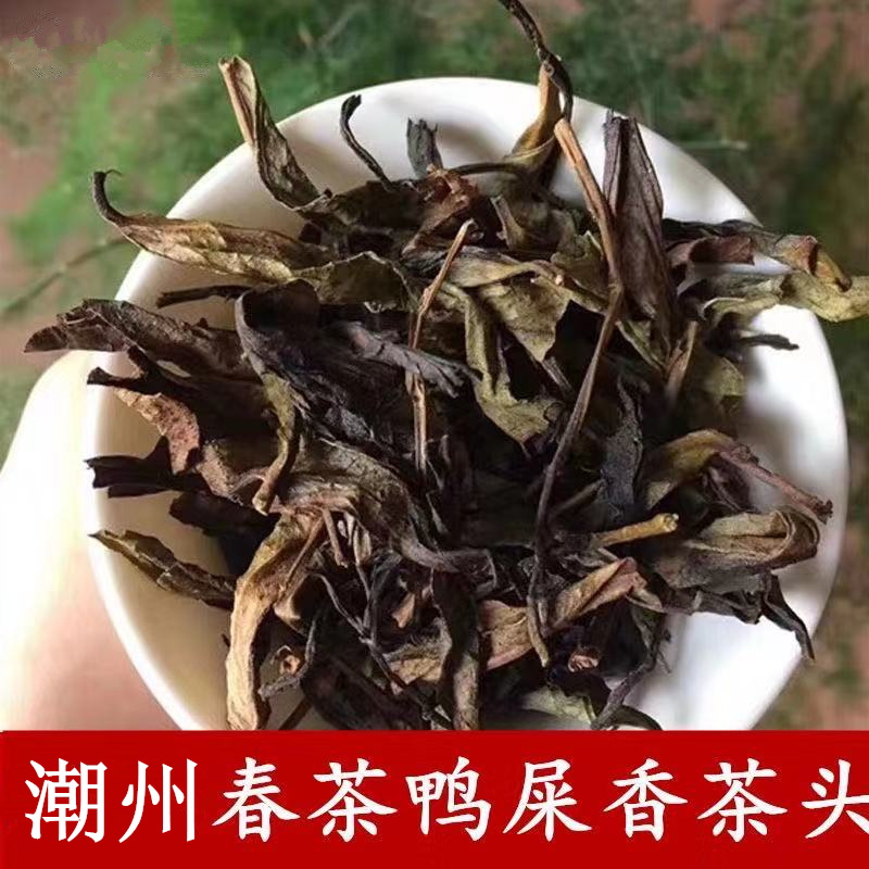 潮州凤凰单枞茶鸭屎香茶头清香蜜兰香浓茶包500g单丛茶茶包 - 图1