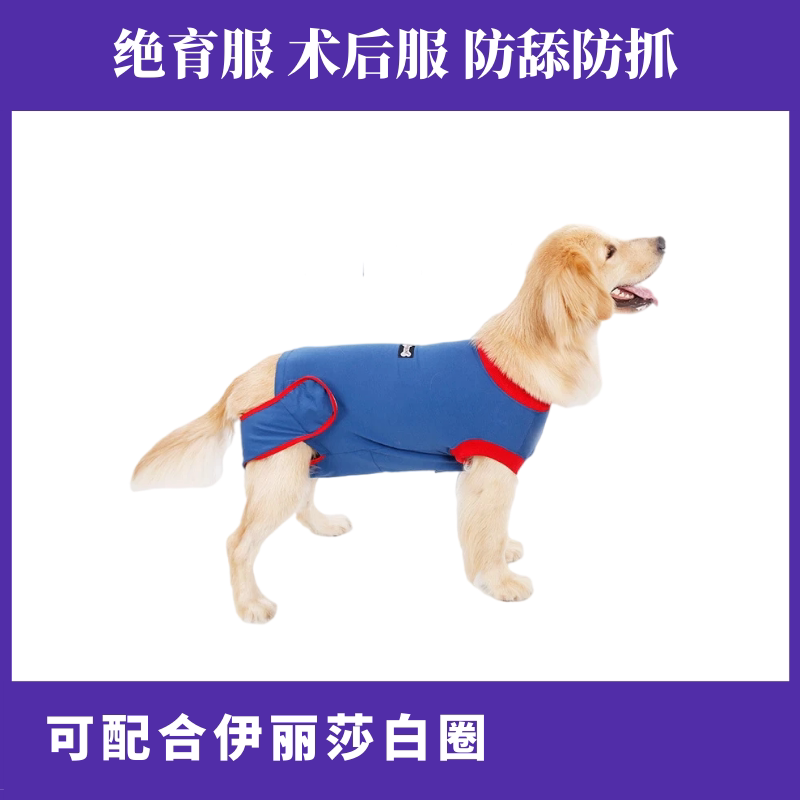 母狗绝育术后衣 新人首单立减十元 22年8月 淘宝海外