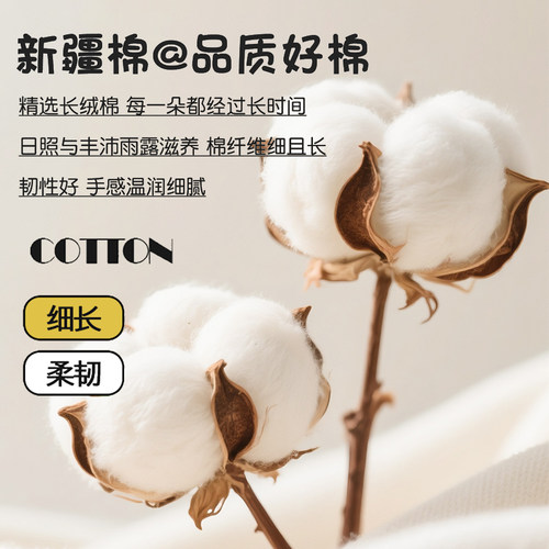 全棉枕套一对装48x74cm单人儿童枕头内胆罩纯棉枕芯套加厚2025新 - 图1