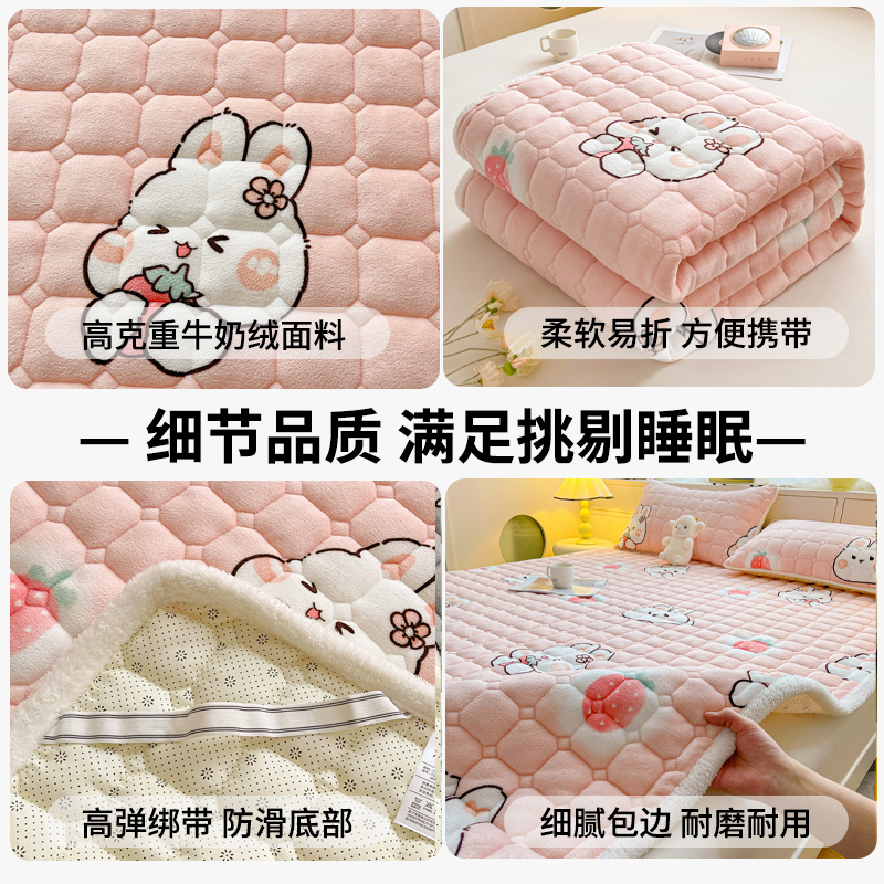 冬天牛奶绒加厚床盖床单单件冬季加厚珊瑚绒榻榻米学生床垫床褥子