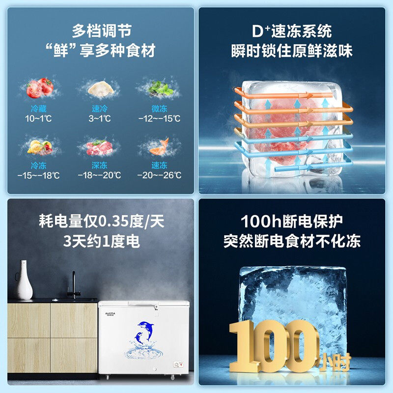 澳柯玛升商用大容量冷藏冷冻冷冻柜 澳柯玛盛逸冷柜