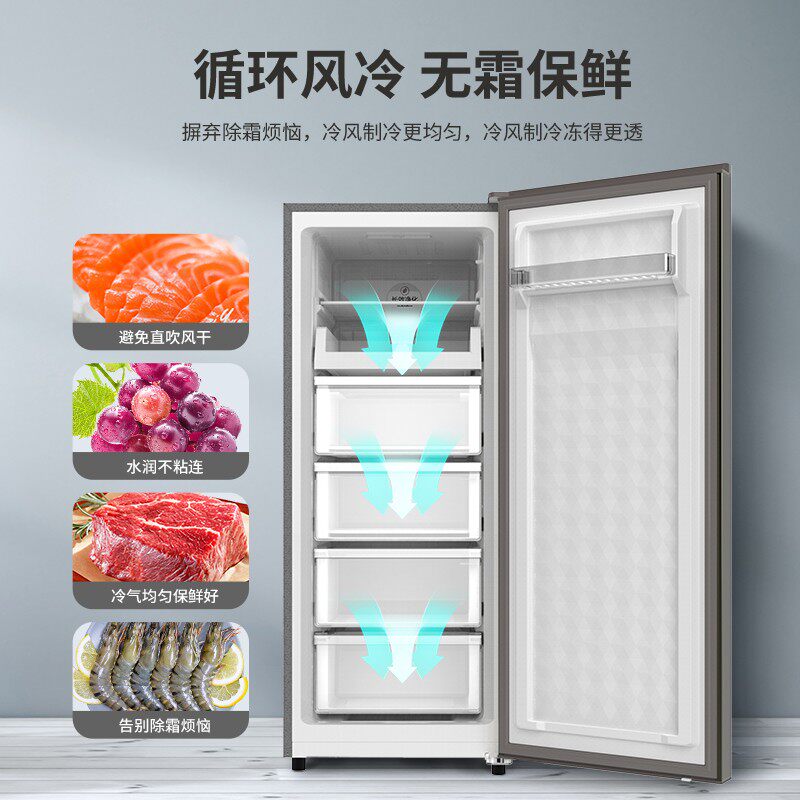 澳柯玛bd-151wne立式风冷冷冻柜 澳柯玛盛逸冷柜