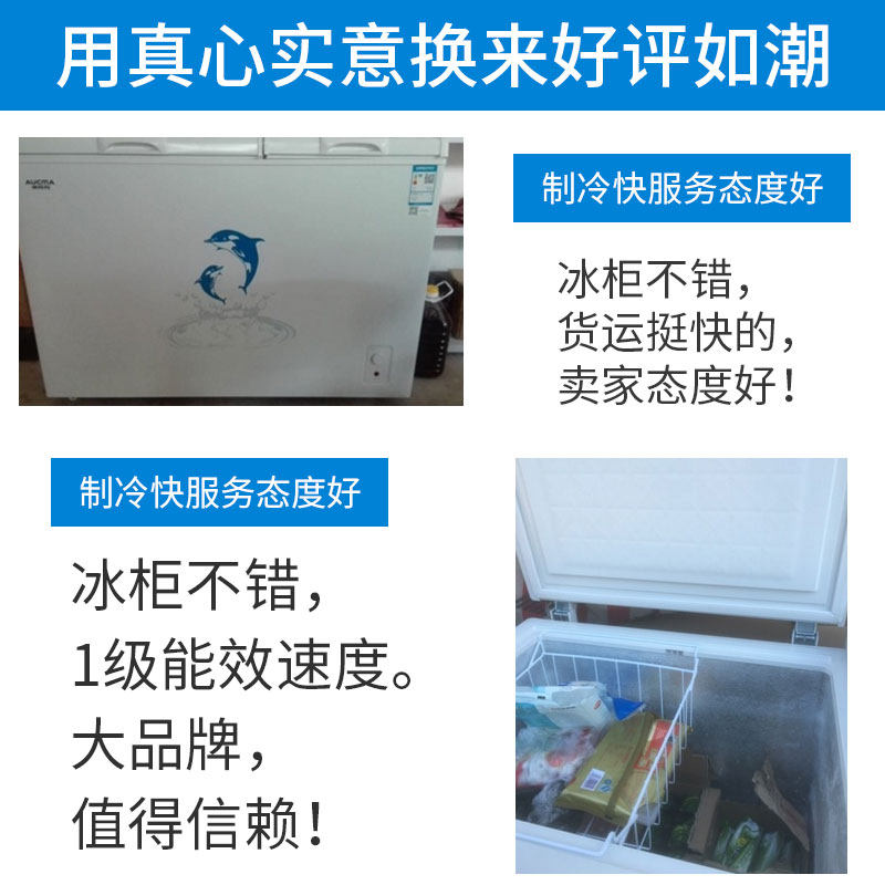 aucma /澳柯玛bcd-287chn商用冰柜 澳柯玛盛逸冷柜