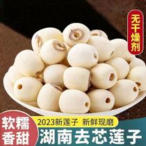 New Goods Mill Leather White Lotus Seed Farmhouse Dry Goods Special Produce Fresh Now Mill Natural Go Core Centerless White Lotus Seed Xianglotus Seed