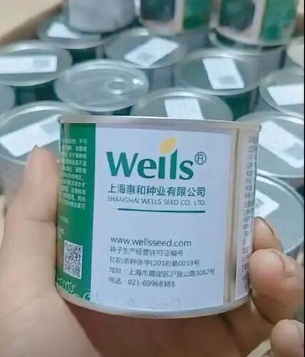 贝贝南瓜种子上海惠和一号日本进口品种迷你板栗香甜南瓜种籽种孑 - 图1