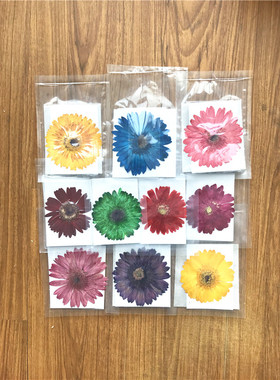 森林美人非洲菊滴胶手机壳干花