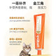 Red Dog Upgrade Nutrition Paste-lactferrin