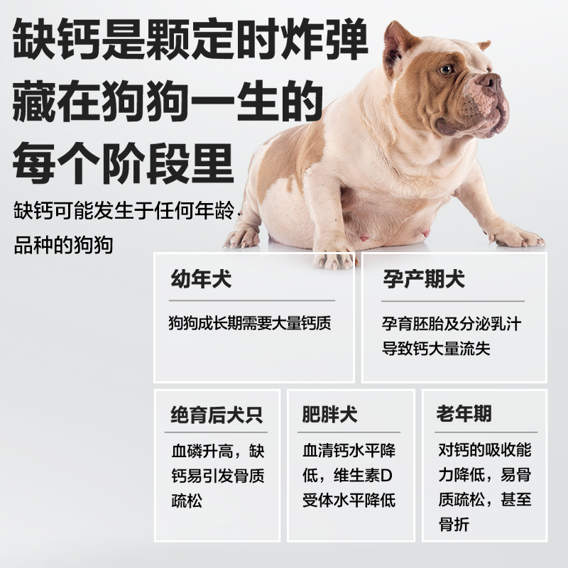 卫仕狗狗关节舒片鲨鱼软骨素宠物犬用乳钙片维生素微量元素关节宝 - 图3