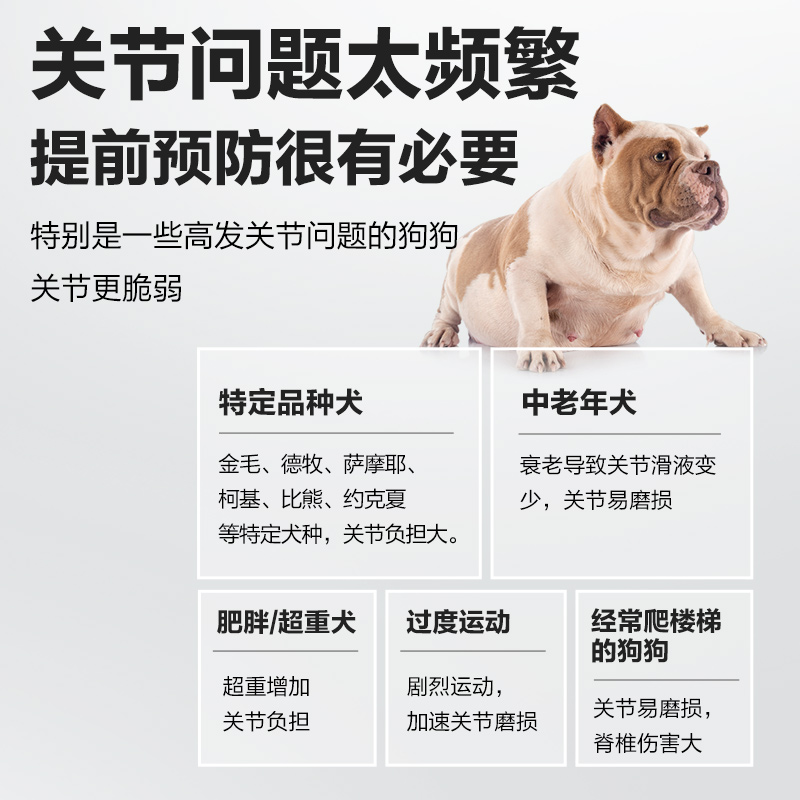 卫仕关节舒大型犬关节宝宠物关节康炎关节生鲨鱼软骨素狗 - 图0