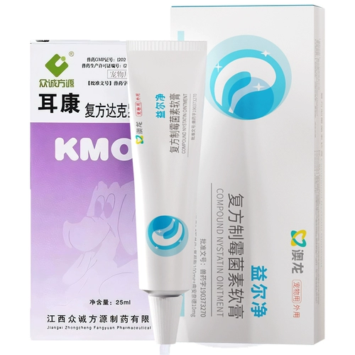 Aolong Yilin Catal Cat Ears Mittal Mittal Eurry Ellavidal Aurbulous Manwobulmeal Окно