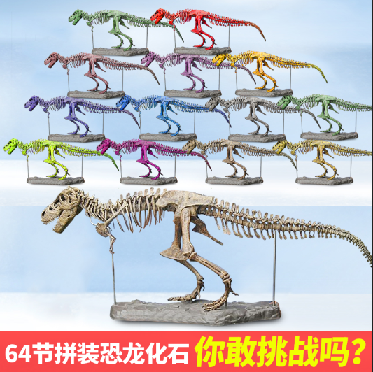 拼装恐龙化石组装玩具考古摆件64节骨架超大型70CM挖掘霸王龙涂鸦 - 图1
