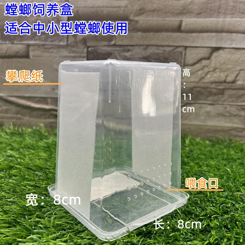 螳螂饲养罐螳螂苗子饲养盒小号跳蛛饲养盒店家手工自制酱料杯,淘宝优惠券,粉丝福利购,淘宝优惠卷