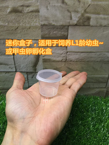 甲虫独角仙锹甲兜虫等幼虫饲养盒100ml布丁盒打包装发货用 PP材质 - 图2