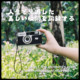 Japanese 135 film new point-and-shoot camera ninoco