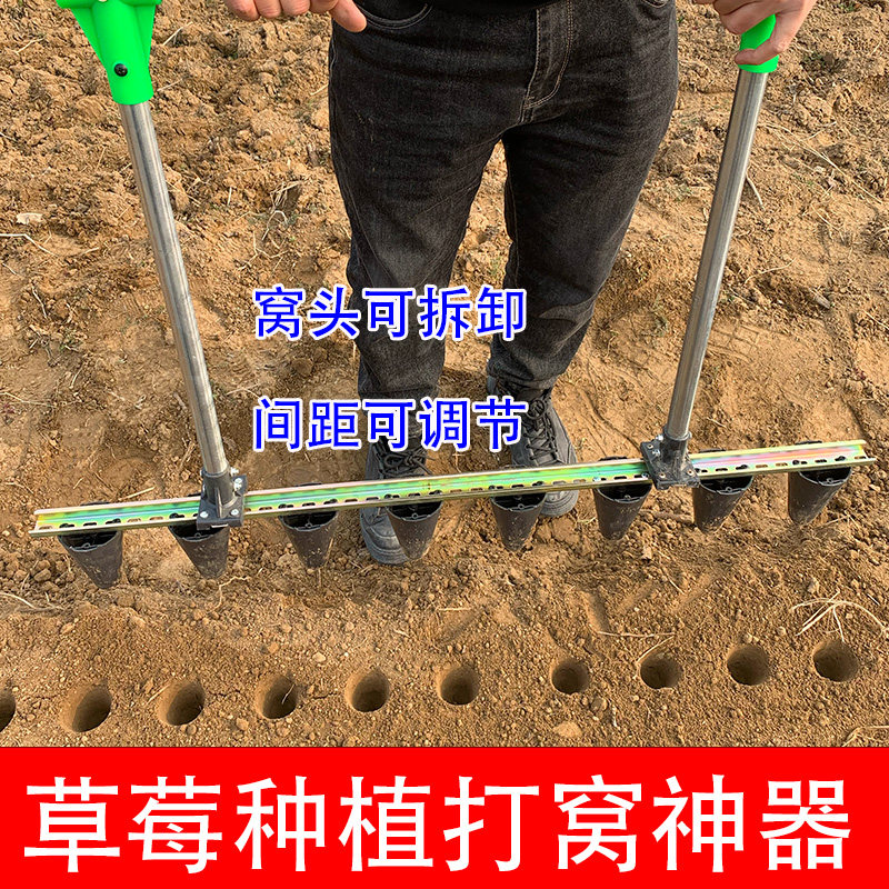 栽草莓苗打孔器农用打眼土壤打圆孔神器打洞工具秧苗栽种专用种植,淘宝优惠券,粉丝福利购,淘宝优惠卷