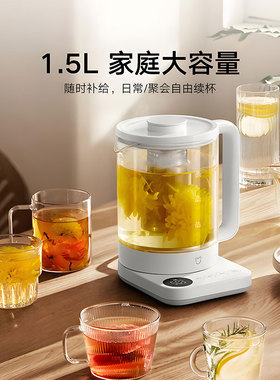 小米米家养生壶N1烧水壶煮茶壶