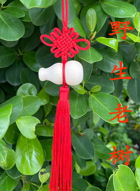 三丫虎/三叉苦/三丫苦/三叉虎/三哈虎木葫芦辟符中国结车挂件手工