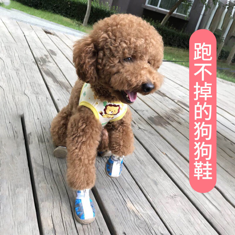 Mrshoes狗狗鞋子春夏透气比熊博美泰迪鞋子不掉脚小型犬宠物脚套-图2