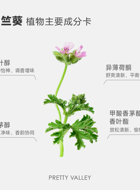 汇美舍玫瑰天竺葵精油单方精油