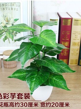 仿真绿植盆栽套装假花绿叶植物