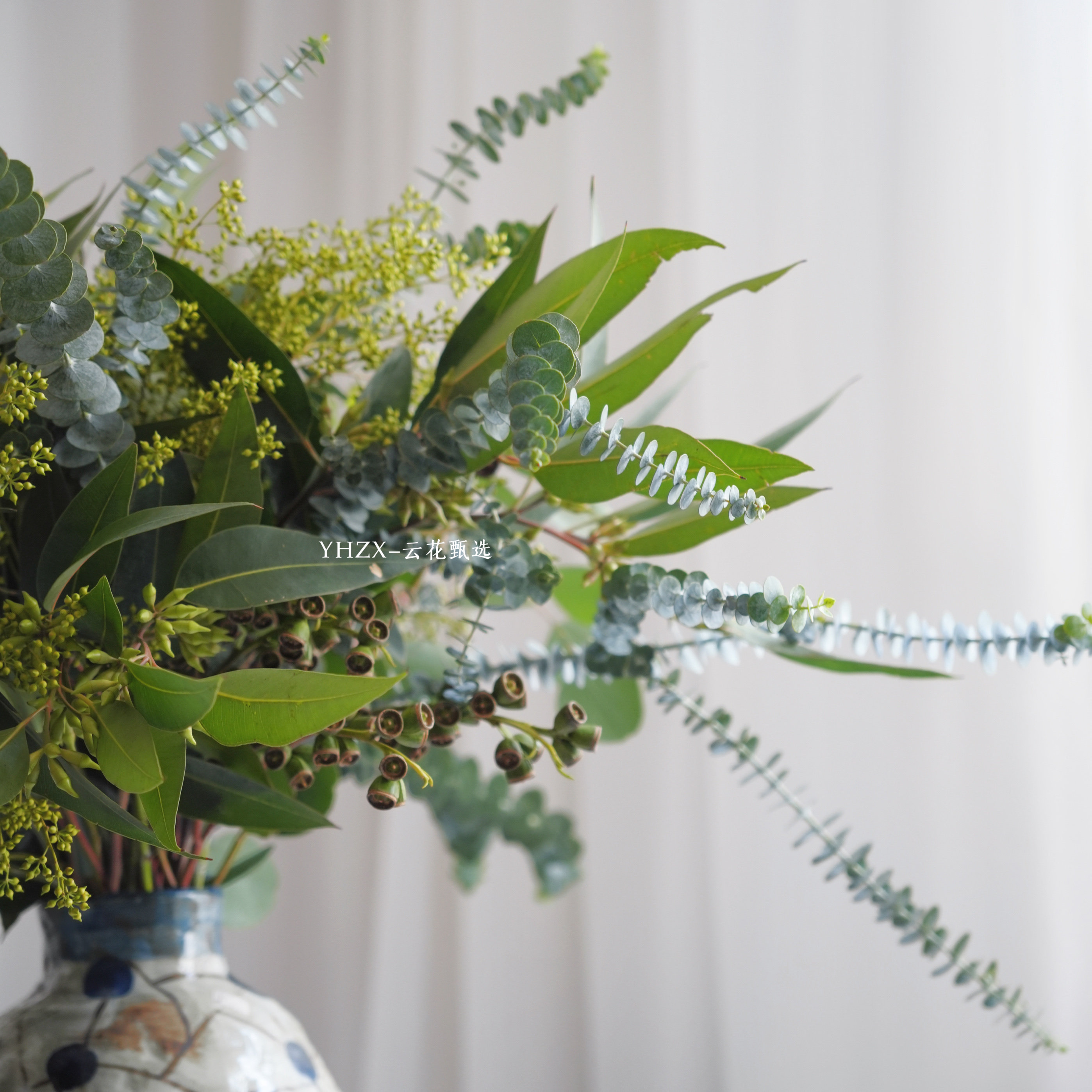 【云花甄选】夏季花材送礼自养花瓶插花期长可做干花真的鲜切花挂,淘宝优惠券,粉丝福利购,淘宝优惠卷