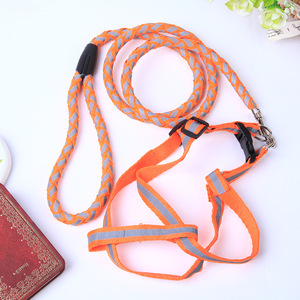 宠物狗绳子泰迪小狗链