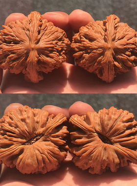 文玩狮子头野生四座楼麻核桃