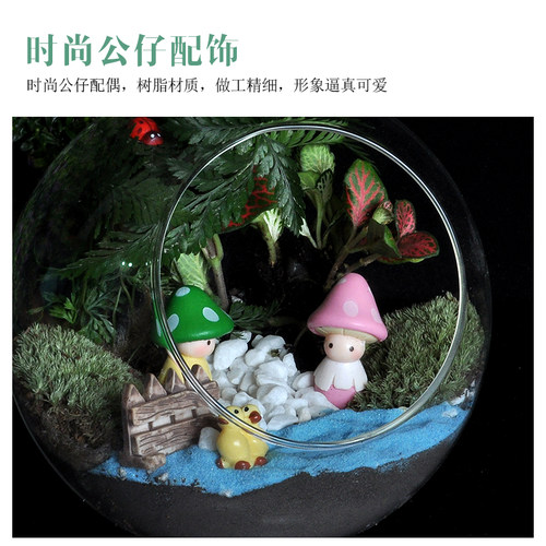 （团体搭配套餐）微景观生态玻璃瓶多肉苔藓DIY材料包件套餐活动 - 图2