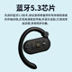 Lansdowne bluetooth wireless earphones