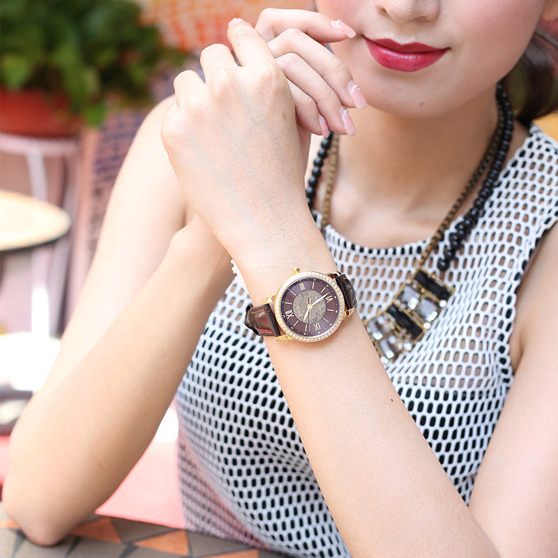 飞亚达fiyta手表女款摄影师系列自动机械表限量款女表la8382.gsrd