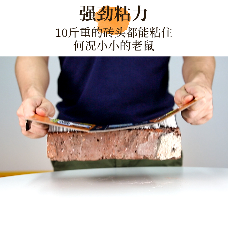 粘鼠板強力膠粘貼紙大老鼠貼夾子籠滅沾捕鼠器家用除捉抓老鼠正品_金大俠家居旗艦店_洗護清潔劑_衛生巾_紙_香薰