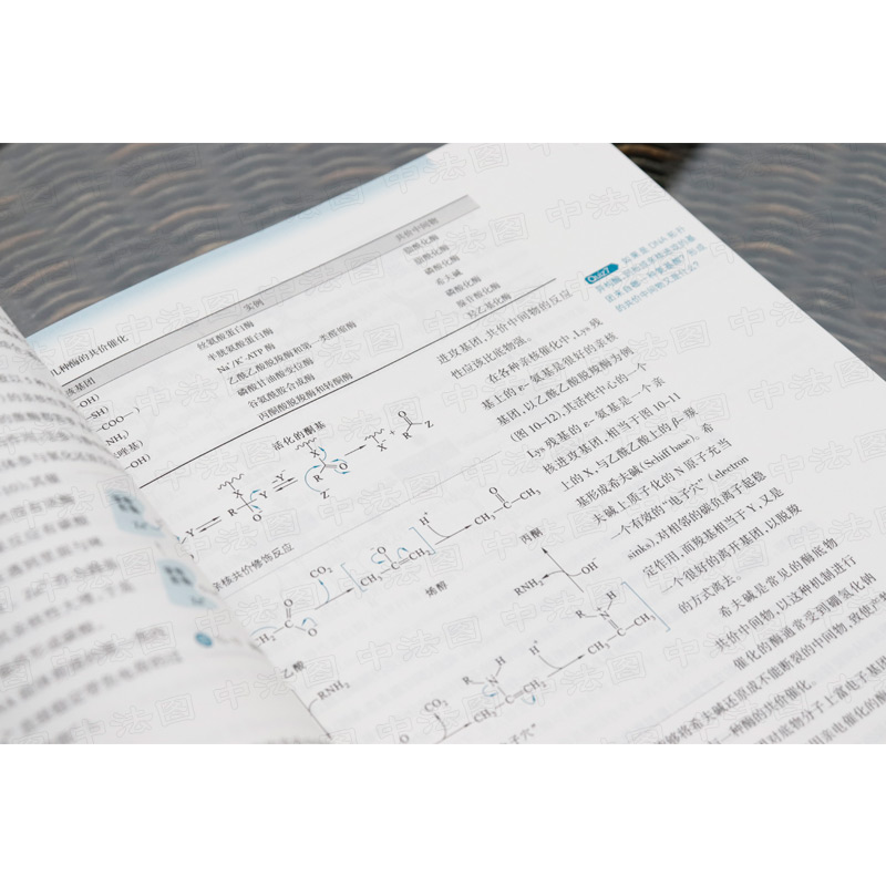 中法图正版生物化学原理第3版第三版杨荣武高等教育出版社高等学校医学农林师范院校生命科学专业生物化学原理本科考研教材-图2