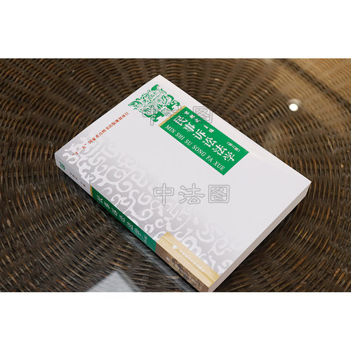 中法图正版 民事诉讼法学 第六版第6版 宋朝武 政法大学 民事诉讼法学大学本科考研教材教程教科书 民事诉讼证据法律制度司法实务 - 图1