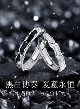 乌木白雪情侣戒指轻奢小众设计高级感一对戒七夕节礼物送男女友
