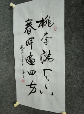 书法字画定制手写真迹毛笔字桃李满天下春晖遍四方