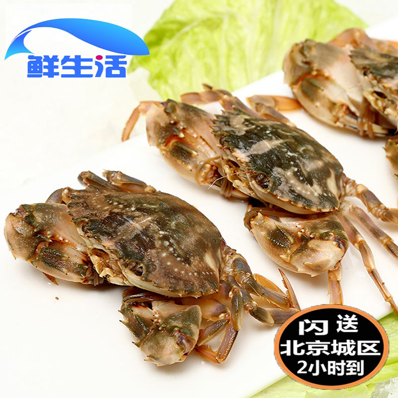 海鲜现货