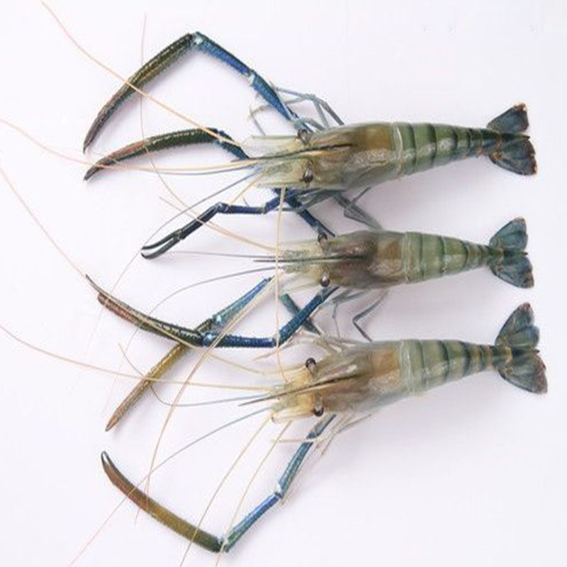 500g北京闪送 鲜活 罗氏虾 大头虾 金钱虾 沼虾 活虾 淡水虾 海鲜,淘宝优惠券,粉丝福利购,淘宝优惠卷