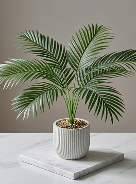 清新温柔风仿真绿植桌面小盆栽