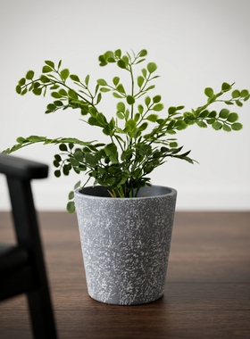 现代简约水泥花盆桌面小盆栽