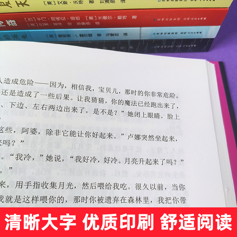 全6册 蒲公英大奖小说天堂里的海龟喝月亮的女孩蓝色星星的孩子国男孩与熊漂流柴郡猫传奇报童的夏天小学生四五六年级课外文学书籍 - 图2