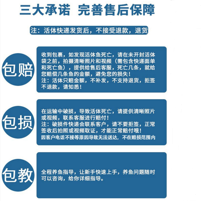 锦鲤鱼活体小金鱼活小型观赏鱼苗冷水淡水鱼饲料鱼好养草金鱼活鱼-图1