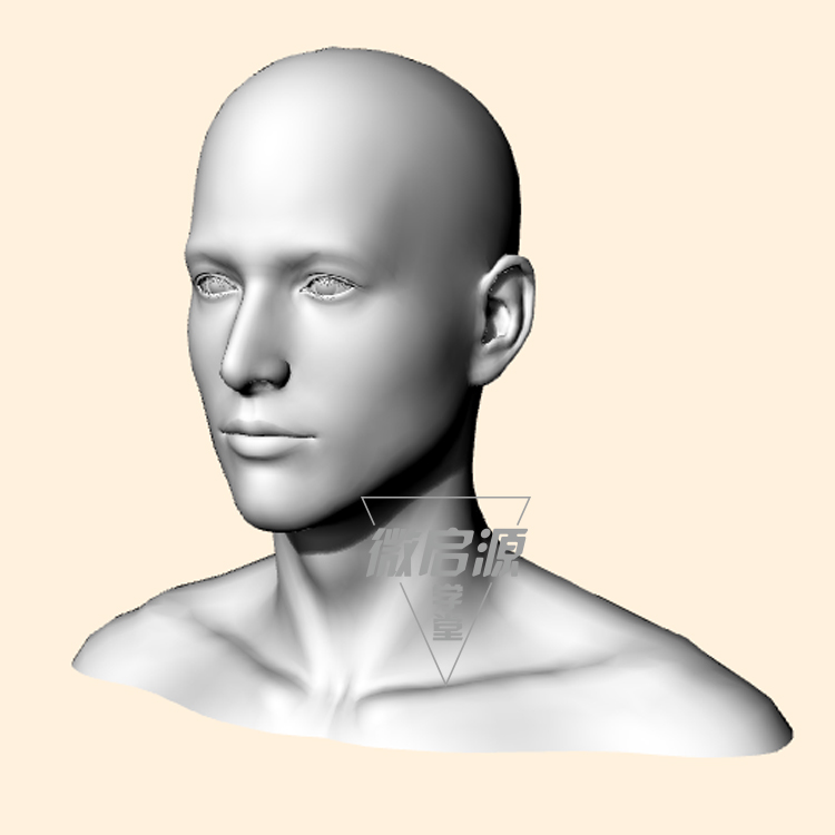 人头像肖像眼睛耳朵鼻子犀牛3D三维模型rhino/OBJ/3DS建模素材-图0