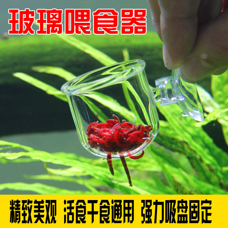 玻璃红虫喂食器鱼缸投食圈冻丰年虾赤虫投喂鱼漂浮杯小型神器透明-图0