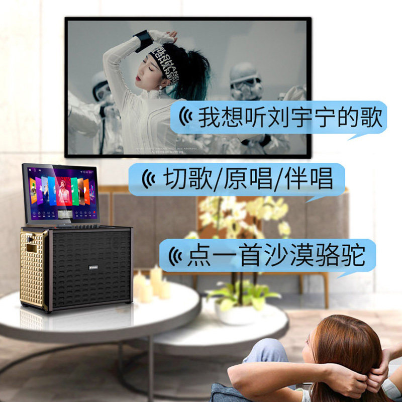 山水f9家庭ktv套装点歌机机连音响 sansui卓昕越KTV/卡拉OK音箱