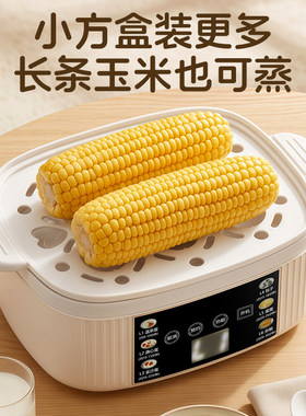 志高小型电蒸锅多功能家用双层智能预约防干烧蒸煮热一体煮鸡蛋器