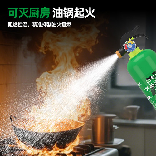车载灭火器2026新款水基车用私家车耐高温防爆小汽车专用便携家用 - 图3
