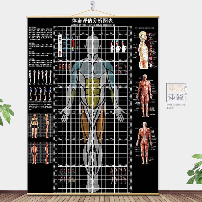 体态评估表挂式贴式体测健身房瑜伽馆私教身高臂展网格身体对比图 - 图1