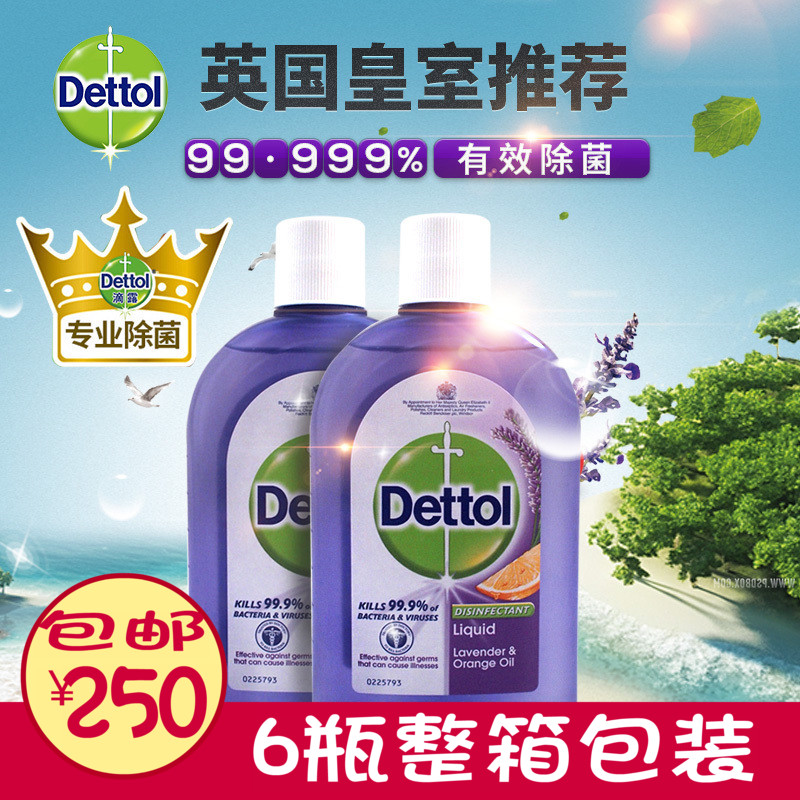 英國原裝進口DETTOL 薰衣草柑橘精油香除蟎殺菌滴露消毒液整箱6瓶