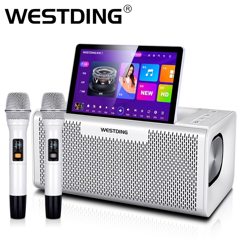 New high-end karaoke movie-watching all-in-one voice control